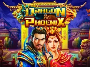 Dragon & Phoenix icon