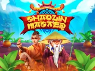 Shaolin Master game cover